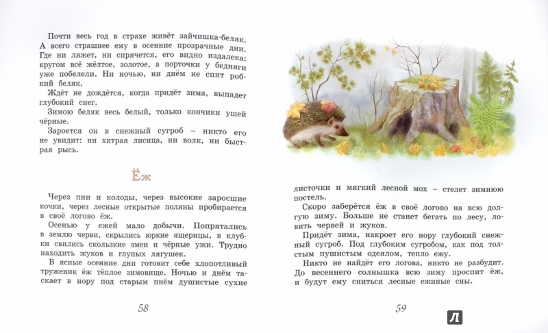 Иллюстрация 1 из 32 для Домик в лесу - Иван Соколов-Микитов | Лабиринт - книги. Источник: Лабиринт