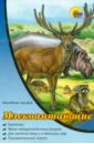 Наглядное пособие А4. Млекопитающие карточки на картоне животные европы с познавательным текстом
