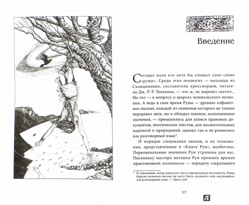Иллюстрация 1 из 15 для Книга Рун. Руководство пользования древним Оракулом. Руны викингов - Ральф Блюм | Лабиринт - книги. Источник: Лабиринт