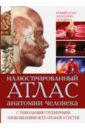 Иллюстрированный атлас анатомии человека рублев с афанасьев с феданова ю ред иллюстрированный атлас анатомии и физиологии человека