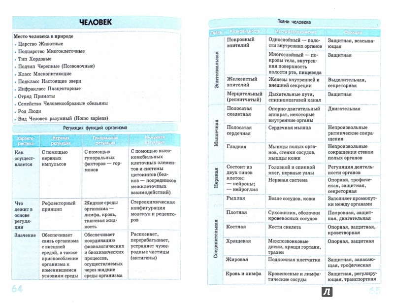 6 класс биология в схемах и таблицах