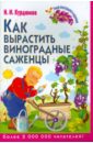 Курдюмов Николай Иванович Как вырастить виноградные саженцы