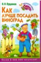 Курдюмов Николай Иванович Как лучше посадить виноград курдюмов николай иванович как ускорить плодоношение
