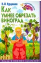 Курдюмов Николай Иванович Как умнее обрезать виноград