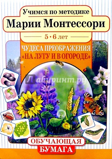 Чудеса преображения "На лугу и в огороде". Для детей 5-6 лет