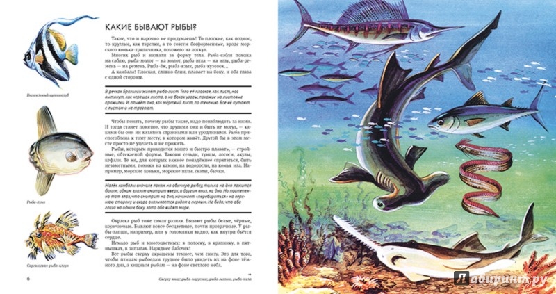 Иллюстрация 3 из 42 для Рыбы - Николай Сладков | Лабиринт - книги. Источник: Лабиринт