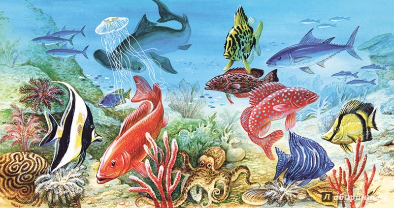 Иллюстрация 8 из 42 для Рыбы - Николай Сладков | Лабиринт - книги. Источник: Лабиринт