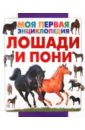 Лошади и пони - Спектор Анна Артуровна