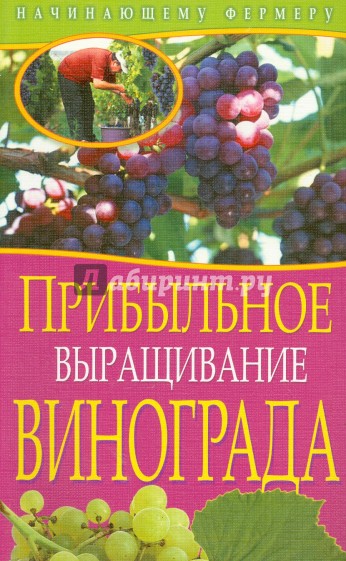 Прибыльное выращивание винограда