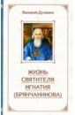 Духанин Валерий Житие святителя Игнатия (Брянчанинова)