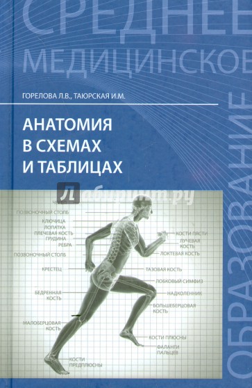 Анатомия в схемах и таблицах. Учебное пособие