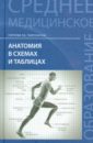 Горелова Людмила Васильевна, Таюрская Инна Махмудовна Анатомия в схемах и таблицах. Учебное пособие