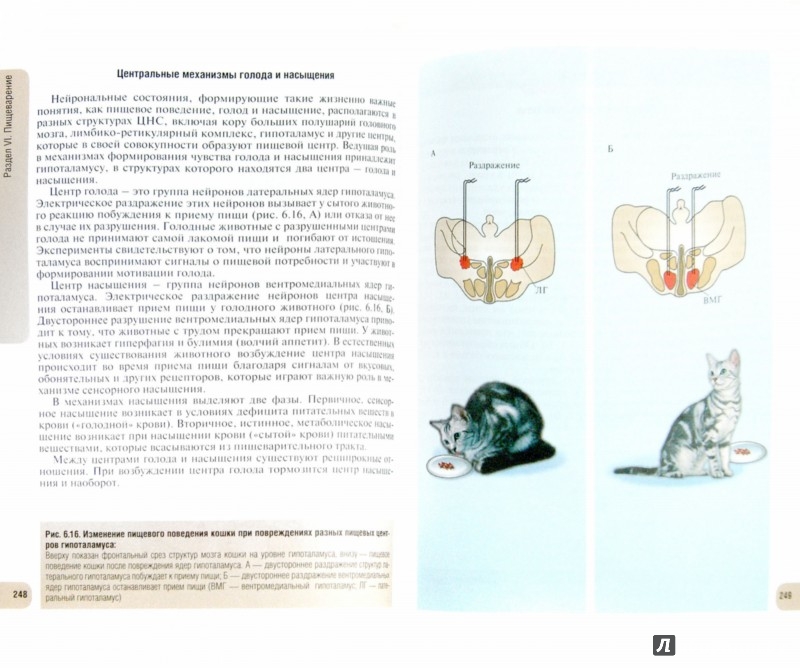 ����� ����� ����