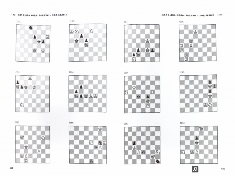 Задачи По Шахматам