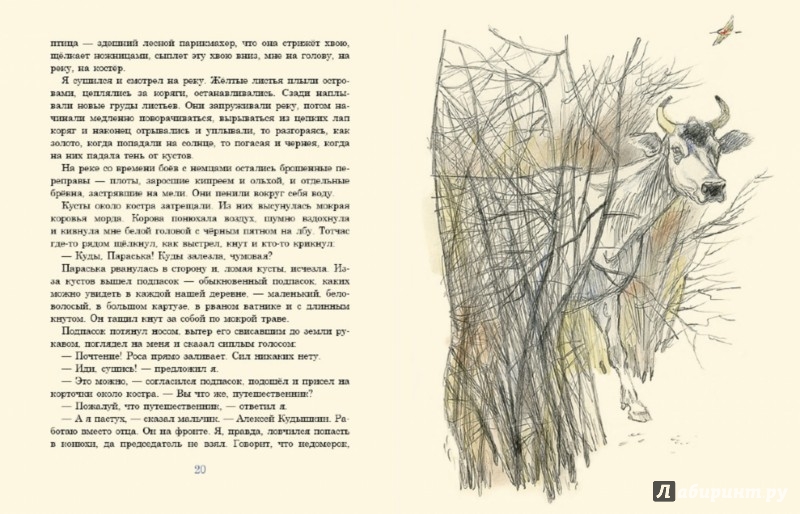 Иллюстрация 2 из 34 для Бабушкин сад - Константин Паустовский | Лабиринт - книги. Источник: Лабиринт