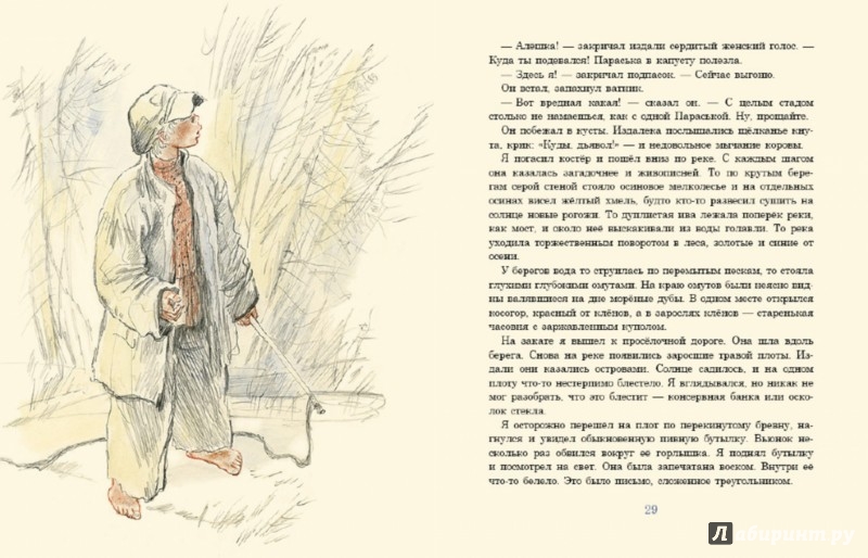 Иллюстрация 4 из 34 для Бабушкин сад - Константин Паустовский | Лабиринт - книги. Источник: Лабиринт