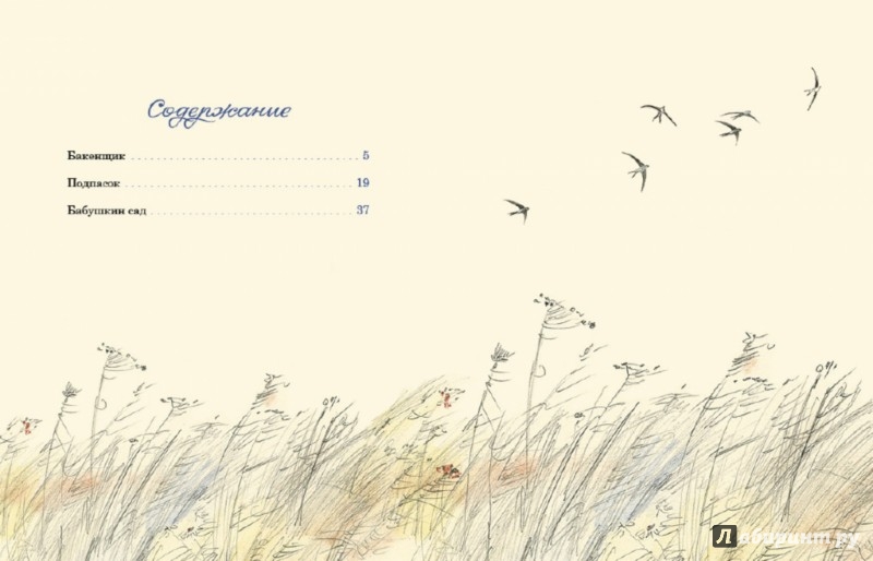 Иллюстрация 6 из 34 для Бабушкин сад - Константин Паустовский | Лабиринт - книги. Источник: Лабиринт