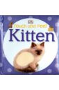 Touch and Feel Kitten kingfisher it’s all about cats and kittens