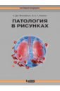 Патология в рисунках - Финлейсон Кэролайн Дж., Ньюелл Барри А. Т.