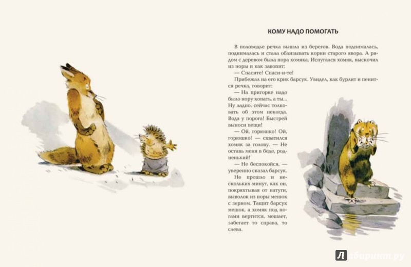 Иллюстрация 2 из 54 для Зачем ежу колючки - Вениамин Росин | Лабиринт - книги. Источник: Лабиринт