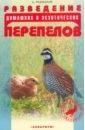 Рахманов Александр Иванович Разведение домашних и экзотических перепелов разведение экзотических домашних птиц