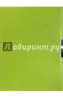 Дневник школьный METROPOL (САЛАТОВЫЙ) (10-208/06).