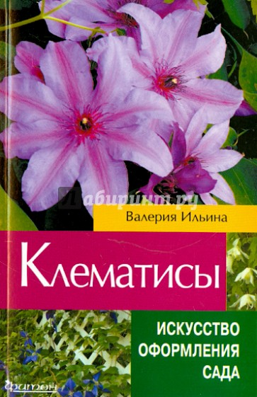 Клематисы