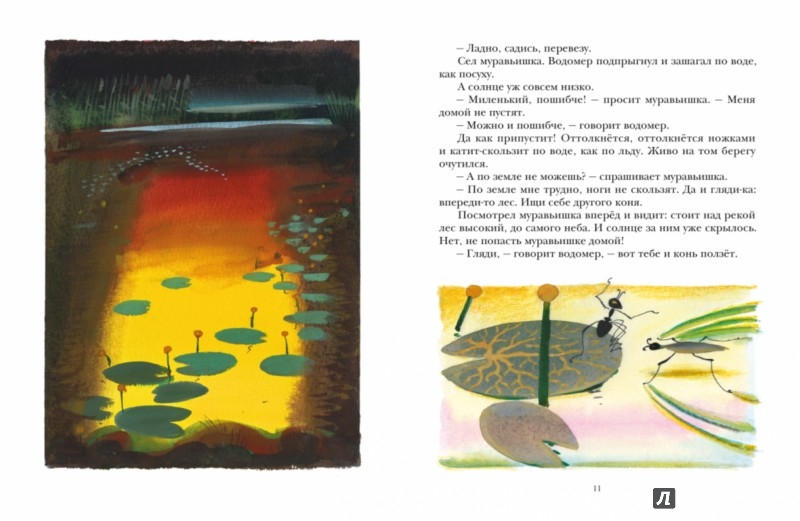 Иллюстрация 3 из 37 для Как муравьишка домой спешил - Виталий Бианки | Лабиринт - книги. Источник: Лабиринт