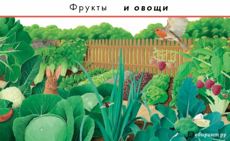 Иллюстрация 2 из 4 для Природа. Большая энциклопедия | Лабиринт - книги. Источник: Лабиринт