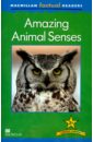 цена Llewellyn Claire Mac Fact Read. Amazing Animal Sense