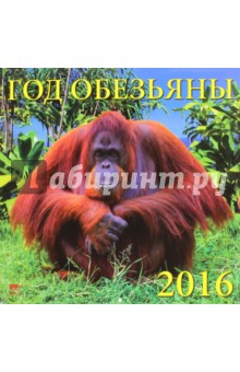 

Календарь настенный на 2016 год "Год обезьяны" (70618)