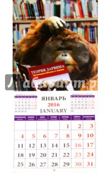 Календарь на 2016 . Год обезьяны с улыбкой (45603).