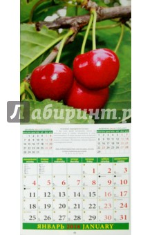Календарь на 2016.Лунный календарь садовода и огородника (45604).