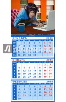 Календарь квартальный на магните 2016. Год обезьяны. Шимпанзе за компьютером (34619).