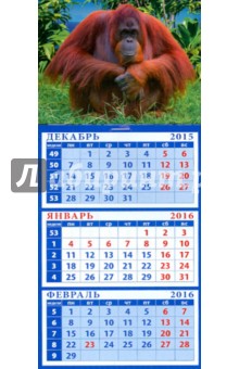 Календарь квартальный на магните  2016. Год обезьяны. Симпатичный орангутанг (34623).