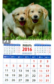 Календарь на магните 2016. Забавные щенки (20613).