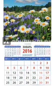 Календарь на магните 2016. Пейзаж с ромашками.