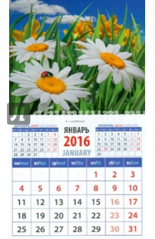 Календарь магнитный 2016. Ромашки (20625).