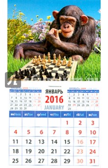 Календарь на магните на 2016 год. Год обезьяны. Шимпанзе - шахматист (20628).