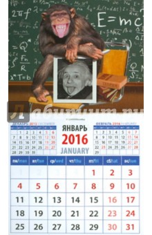 Календарь на магните 2016. Год обезьяны. Шимпанзе  с портретом Эйнштейна (20638).