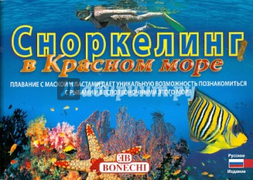 Сноркелинг в Красном море