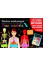 Тело человека. Интерактивная детская энциклопедия тело человека интерактивная детская энциклопедия с магнитами