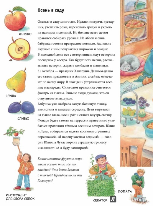 Иллюстрация 1 из 21 для Осень. Находилки-развивалки. ФГОС - Бьянка Минте-Кениг | Лабиринт - книги. Источник: Лабиринт