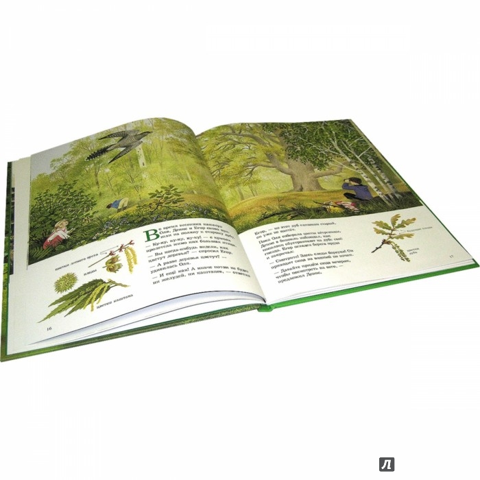 Иллюстрация 5 из 40 для Наше дерево - Герда Мюллер | Лабиринт - книги. Источник: Лабиринт