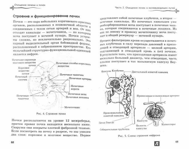 Книга Перекись Водорода Мифы и Реальность
