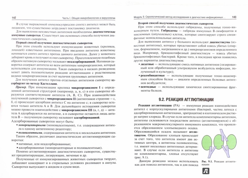 Руководство К Практическим Занятиям По Медицинской Микробиологии