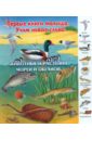 Животные и растения морей и океанов животные морей и океанов книжка гармошка