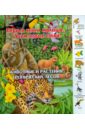 Животные и растения тропических лесов животные и растения тропических лесов перкнмалучновсл картон комарова