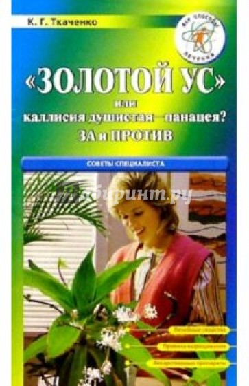 "Золотой ус" или каллисия душистая - панацея? За и против