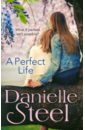 Steel Danielle A Perfect Life steel danielle the long road home